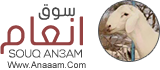جامعة الجوف تطرح 226 وظيفة إدارية وفنية